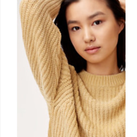 Aritzia Sweaters - WILFRED SALETTE SWEATER